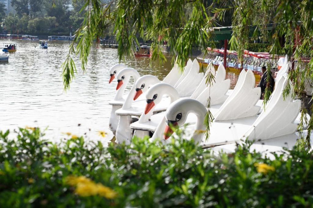 Hotel Veniz - Session Baguio City Екстер'єр фото
